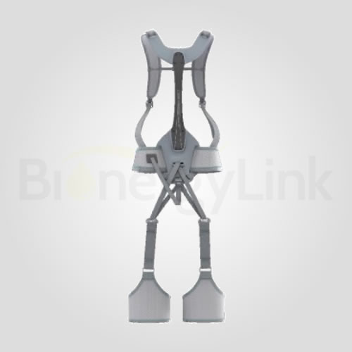 Bending Assist Exoskeleton