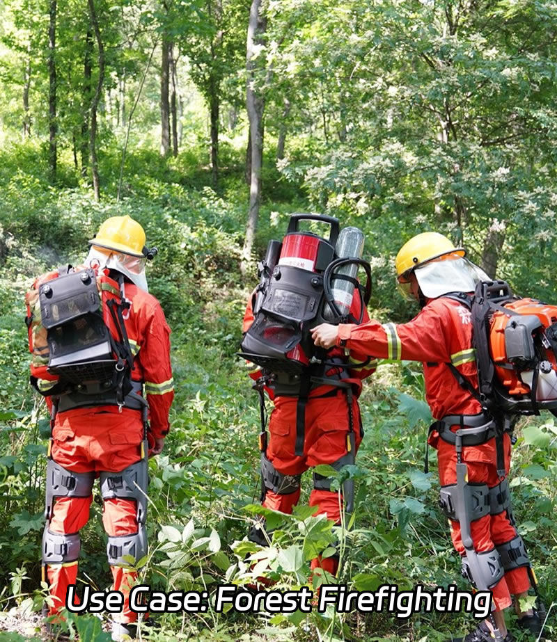 Load-Maneuverable Exoskeleton Lite Version