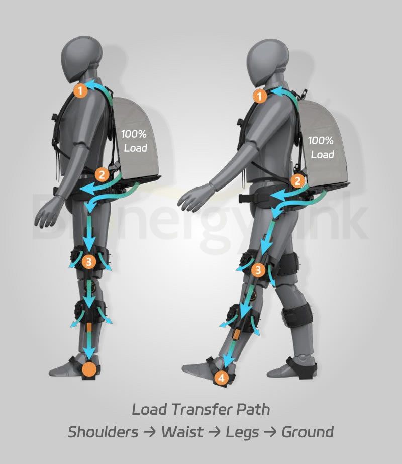 Load-Maneuverable Exoskeleton