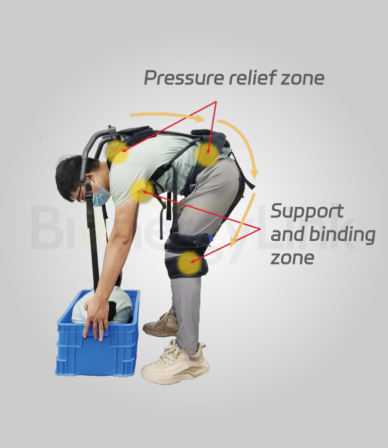 Lifting Assist Exoskeleton