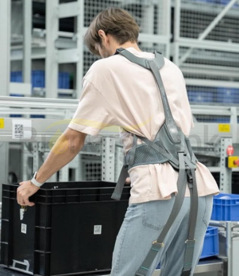 Bending Assist Exoskeleton