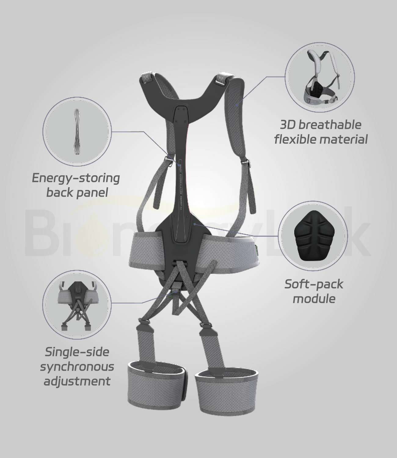 Bending Assist Exoskeleton