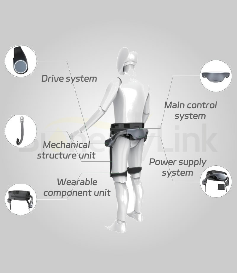 Smart Powered Walking Exoskeleton